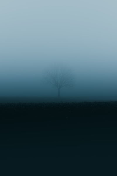 Die Blume des Lebens: Eine zeitlose Reise durch Harmonie und Heilung